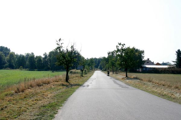 Lázně Bohdaneč, 19.9.2009
Třešňová alej na západním okraji obce.
Schlüsselwörter: Lázně Bohdaneč Anthaxia candens