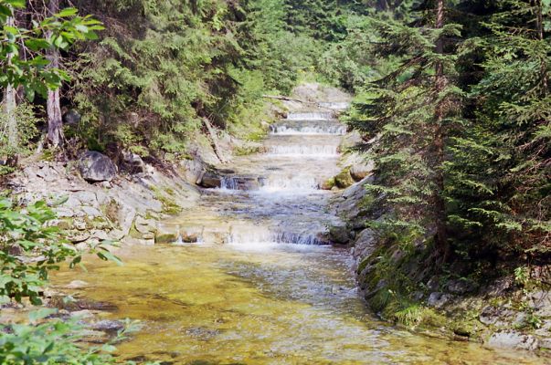 Krkonoše, Labský důl, 17.8.2002
U Staré pily - zmrzačený Medvědí potok.
Klíčová slova: Krkonoše Labský důl U Staré pily Medvědí potok