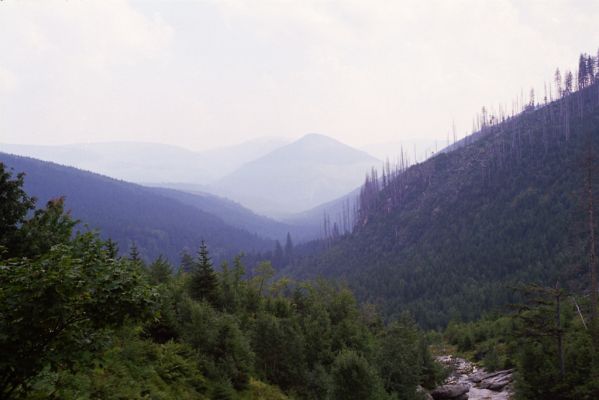 Krkonoše, Labský důl, 17.8.2002
Pohled od Pudlavy na Železný vrch.
Klíčová slova: Krkonoše Labský důl Pudlava Železný vrch