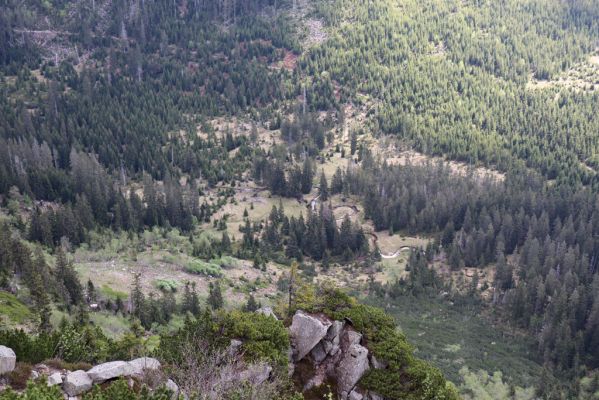 Špindlerův Mlýn, 7.6.2021
Krkonoše, Pančavská louka, Ambrožova vyhlídka - pohled do Labského dolu.
Schlüsselwörter: Krkonoše Ambrožova vyhlídka Labský důl meandry Labe