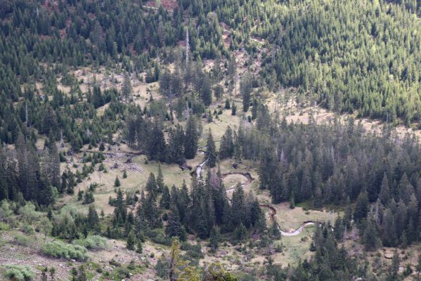 Špindlerův Mlýn, 7.6.2021
Krkonoše, Pančavská louka, Ambrožova vyhlídka - pohled do Labského dolu.
Klíčová slova: Krkonoše Ambrožova vyhlídka Labský důl meandry Labe