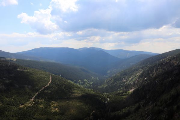 Špindlerův Mlýn, 7.6.2021
Krkonoše, Pančavská louka, Ambrožova vyhlídka. Pohled do Labského dolu a na východní Krkonoše.
Klíčová slova: Krkonoše Pančavská louka Ambrožova vyhlídka Labský důl východní Krkonoše Sněžka