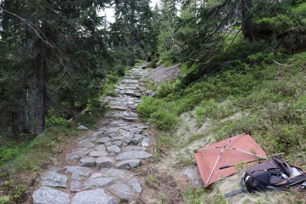 Špindlerův Mlýn, 7.6.2021
Krkonoše, Labský důl, Labská rokle.
Klíčová slova: Špindlerův Mlýn Krkonoše Labský důl Labská rokle Sericus subaeneus Liotrichus affinis