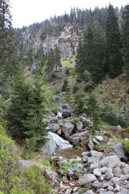 Špindlerův Mlýn, 7.6.2021
Krkonoše, Labský důl, Labská rokle.
Keywords: Špindlerův Mlýn Krkonoše Labský důl Labská rokle