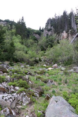 Špindlerův Mlýn, 7.6.2021
Krkonoše, Labský důl pod Labskou roklí.
Mots-clés: Špindlerův Mlýn Krkonoše Labský důl Aplotarsus incanus