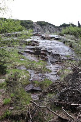 Špindlerův Mlýn, 7.6.2021
Krkonoše, Labský důl pod Labskou roklí.
Klíčová slova: Špindlerův Mlýn Krkonoše Labský důl