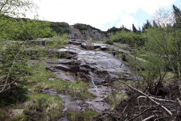 Špindlerův Mlýn, 7.6.2021
Krkonoše, Labský důl pod Labskou roklí.
Mots-clés: Špindlerův Mlýn Krkonoše Labský důl