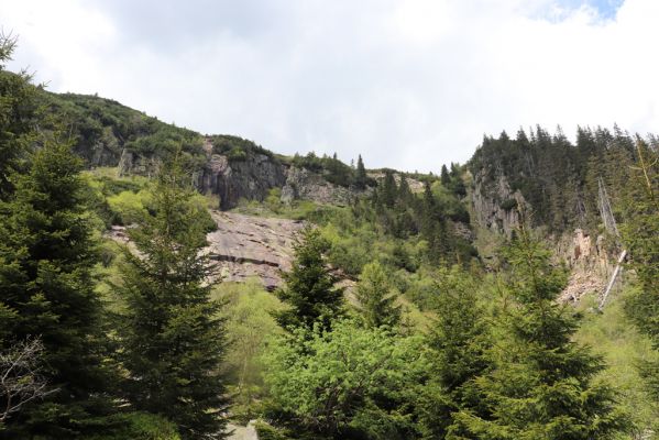 Špindlerův Mlýn, 7.6.2021
Krkonoše, Labský důl pod Labskou roklí.
Keywords: Špindlerův Mlýn Krkonoše Labský důl