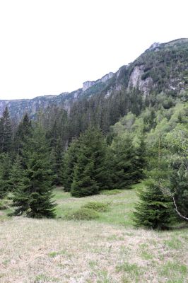 Špindlerův Mlýn, 7.6.2021
Krkonoše, Labský důl.
Keywords: Špindlerův Mlýn Krkonoše Labský důl