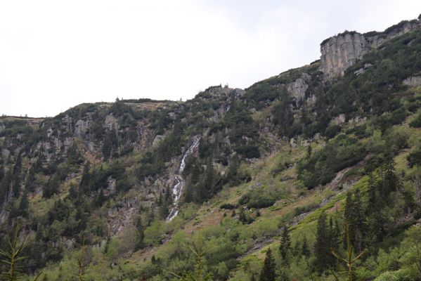 Špindlerův Mlýn, 7.6.2021
Krkonoše, Labský důl - Pančavský vodopád.
Keywords: Špindlerův Mlýn Krkonoše Labský důl Pančavský voropád