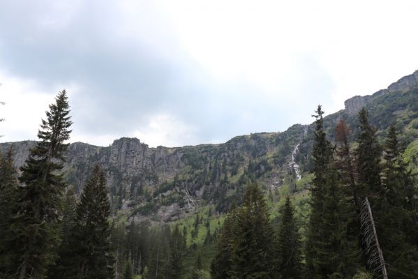 Špindlerův Mlýn, 7.6.2021
Krkonoše, Labský důl - Pančavský vodopád.
Klíčová slova: Špindlerův Mlýn Krkonoše Labský důl Pančavský vodopád