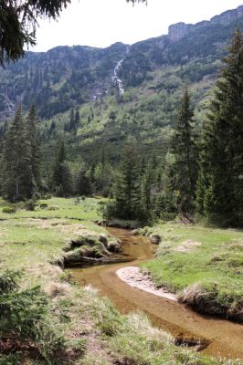 Špindlerův Mlýn, 7.6.2021
Krkonoše, Labský důl - meandry Labe.
Schlüsselwörter: Špindlerův Mlýn Krkonoše Labský důl meandry Labe Pančavský vodopád