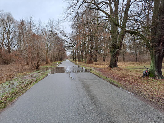 Opatovice nad Labem, 24.12.2023
Zaplavená silnice od Opatovic nad Labem k Vysoké nad Labem.
Keywords: Opatovice nad Labem Velký ostrov Labe