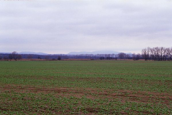 Ladná, 3.12.2002
Pohled z cesty k železniční zastávce na Pavlovské vrchy.

Klíčová slova: Ladná Pavlovské vrchy
