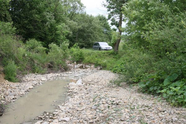 Ladomirov, 17.6.2011
Štěrkové náplavy v meandrech potoka Luh - biotop kovaříků Zorochros dermestoides f. laevithorax.


Klíčová slova: Ladomirov potok Luh Zorochros dermestoides f. laevithorax