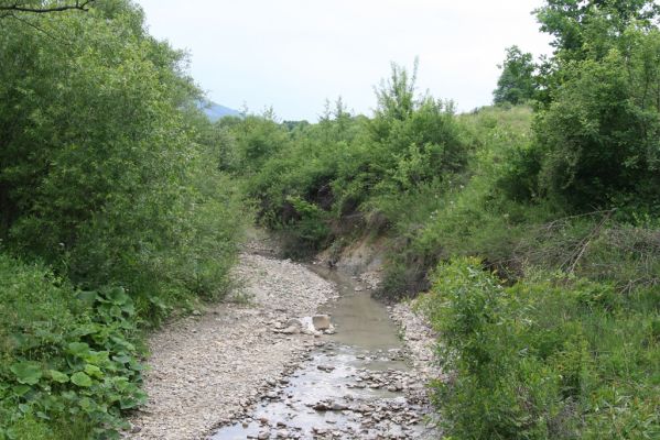 Ladomirov, 17.6.2011
Štěrkové náplavy v meandrech potoka Luh - biotop kovaříků Zorochros dermestoides f. laevithorax.



Klíčová slova: Ladomirov potok Luh Zorochros dermestoides f. laevithorax