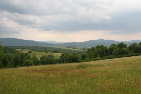 Ladomírov, 17.6.2011
Vrch Veľký Ščob - louky nad Ladomírovem. Pohled na Kremenec a Rožok.



Klíčová slova: Ladomírov Vihorlat Veľký Ščob