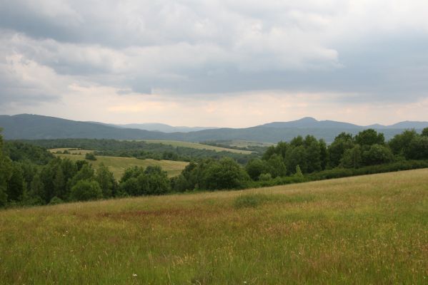 Ladomírov, 17.6.2011
Vrch Veľký Ščob - louky nad Ladomírovem. Pohled na Kremenec a Rožok.



Keywords: Ladomírov Vihorlat Veľký Ščob