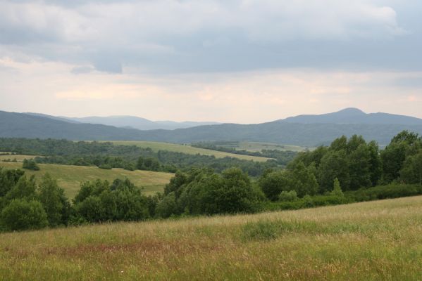 Ladomírov, 17.6.2011
Vrch Veľký Ščob - louky nad Ladomírovem. Pohled na Kremenec a Rožok.



Schlüsselwörter: Ladomírov Vihorlat Veľký Ščob