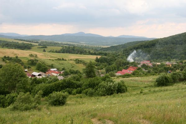 Ladomírov, 17.6.2011
Vrch Veľký Ščob - louky nad Ladomírovem. Pohled na Rožok.
Klíčová slova: Ladomírov Vihorlat Veľký Ščob Athous mollis