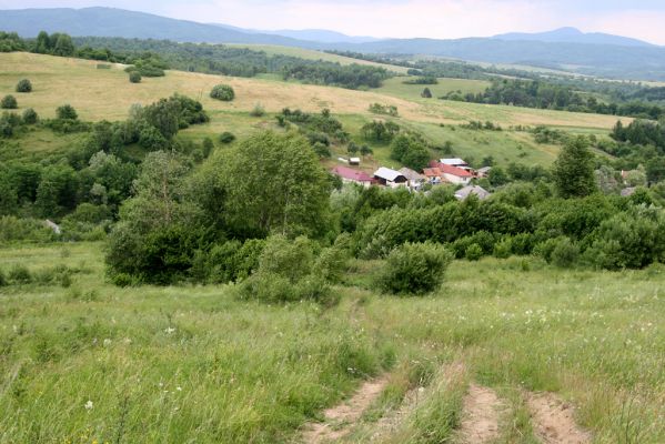 Ladomírov, 17.6.2011
Vrch Veľký Ščob - louky nad Ladomírovem.




Klíčová slova: Ladomírov Vihorlat Veľký Ščob Athous mollis