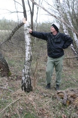Ladomirov, 20.4.2015
Zarůstající pastevní les na vrchu Veľký Ščob.



Schlüsselwörter: Ladomirov Veľký Ščob Denticollis borealis Mertlik