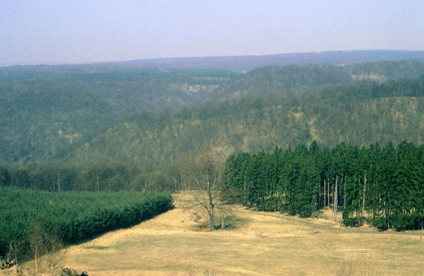 Lánská obora, 1.4.1997
Jelení loužek. Pohled z náhorní plošiny na Dlouhý hřeben a Zadní Šance.
Keywords: Zbečno Křivoklátsko Lánská obora Jelení loužek Dlouhý hřeben Zadní Šance