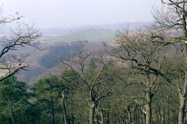 Lánská obora, 1.4.1997
Pohled ze Zadního Vápence na obec Požáry.
Klíčová slova: Zbečno Křivoklátsko Lánská obora Požáry