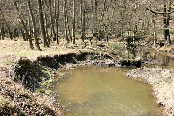 Lánská obora, 31.3.2009
Meandry Klíčavy pod vrchem Kocourová. Biotop velevruba tupého.
Klíčová slova: Lánská obora Křivoklátsko Klíčava velevrub tupý
