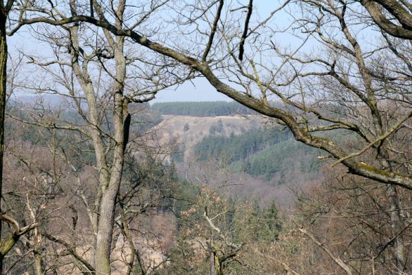 Lánská obora, 31.3.2009
Pohled z vrchu Kocourová na svahy nad Klíčavskými luhy - pastevní les obklopený smrkovými monokulturami.
Schlüsselwörter: Lánská obora Křivoklátsko Klíčava Klíčavské luhy