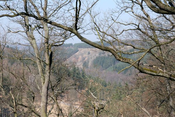 Lánská obora, 31.3.2009
Pohled z vrchu Kocourová na svahy nad Klíčavskými luhy - pastevní les obklopený smrkovými monokulturami.
Schlüsselwörter: Lánská obora Křivoklátsko Klíčava Klíčavské luhy