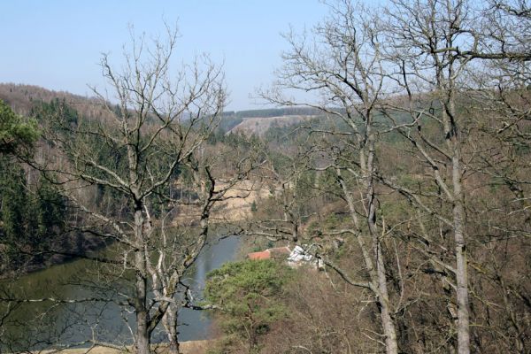 Lánská obora, 31.3.2009
Pohled z vrchu Kocourová na Klíčavu. V pozadí svahy nad Klíčavskými luhy - pastevní les obklopený smrkovými monokulturami.
Klíčová slova: Lánská obora Křivoklátsko Klíčava Klíčavské luhy