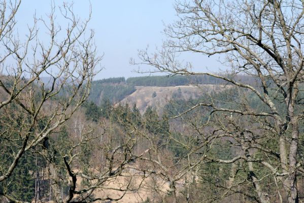 Lánská obora, 31.3.2009
Pohled z vrchu Kocourová na svahy nad Klíčavskými luhy - pastevní les obklopený smrkovými monokulturami.
Mots-clés: Lánská obora Křivoklátsko Klíčava Klíčavské luhy