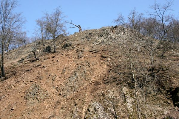 Lánská obora, 31.3.2009
Suťový les západně od rybníka U Ručiček. Při koncentraci chované zvěře dochází na několika lokalitách k výrazné erozi svahu.
Mots-clés: Lánská obora Křivoklátsko U Ručiček