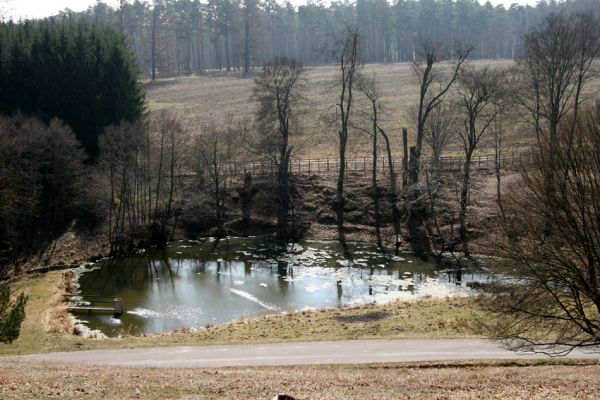 Lánská obora, 31.3.2009
V Haltýřích. Pohled z vrchu Vlčina.
Mots-clés: Lánská obora Křivoklátsko V Haltýřích Vlčina