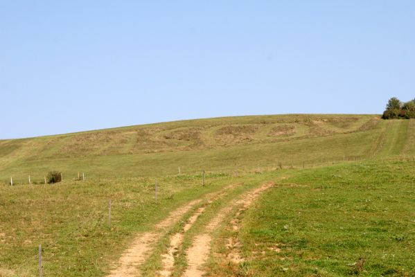 Lascov, 19.9.2014
Pastviny nad Lascovem. Inspirace pro společensky akceptovatelnou mozaikovou seč.


Klíčová slova: Lascov