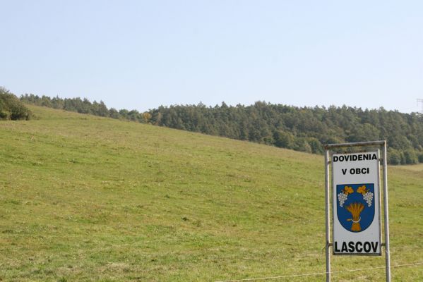 Lascov, 19.9.2014
Pastviny nad Lascovem.
Keywords: Lascov