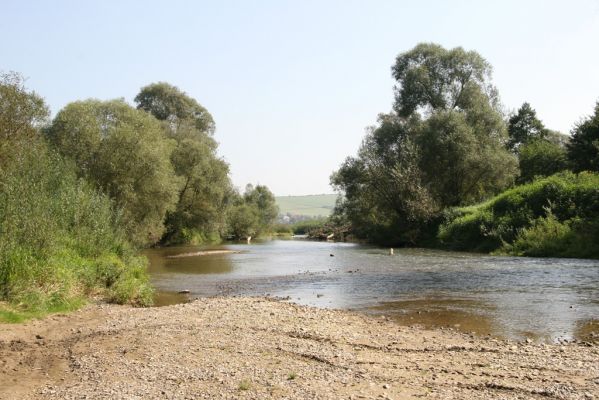 Lascov - Brezov, 19.9.2014
Meandry Topľy.


Keywords: Lascov Brezov řeka Topľa