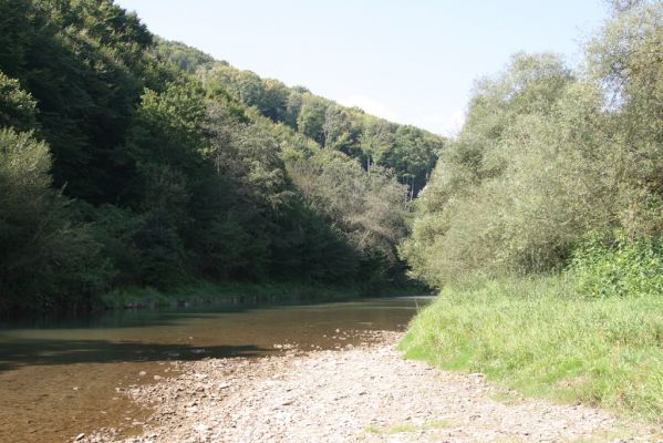 Lascov - Brezov, 19.9.2014
Meandry Topľy.



Klíčová slova: Lascov Brezov řeka Topľa