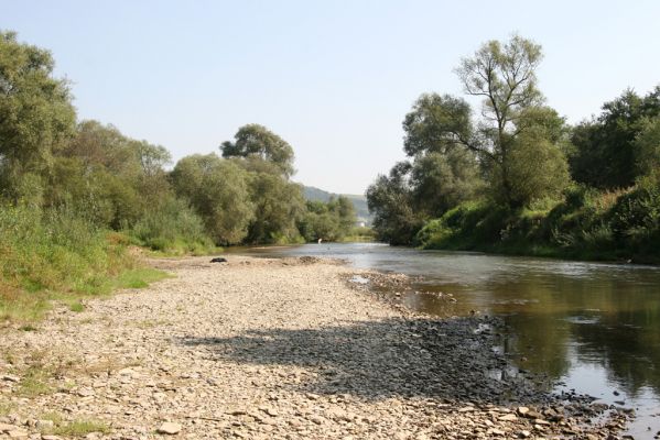 Lascov - Brezov, 19.9.2014
Meandry Topľy.



Klíčová slova: Lascov Brezov řeka Topľa