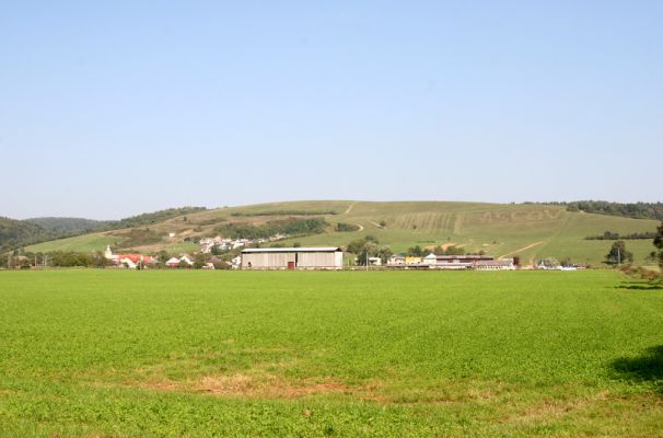 Lascov, 19.9.2014
Pastviny nad Lascovem. Inspirace pro společensky akceptovatelnou mozaikovou seč.



Schlüsselwörter: Lascov