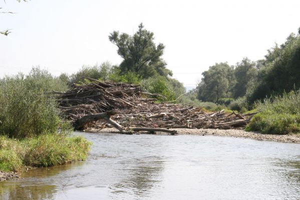 Lascov - Brezov, 19.9.2014
Meandry Topľy. Soudě dle té stromové pyramidy, tak se Topľa dokáže pořádně rozběsnit.



Klíčová slova: Lascov Brezov řeka Topľa
