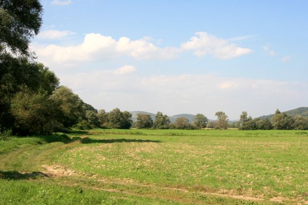 Lascov, 19.9.2014
Záplavové louky u Topľy.



Schlüsselwörter: Lascov řeka Topľa