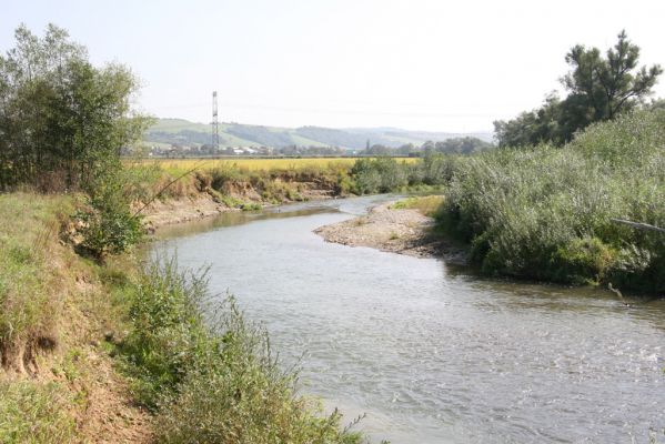 Lascov - Brezov, 19.9.2014
Meandry Topľy.



Keywords: Lascov Brezov řeka Topľa