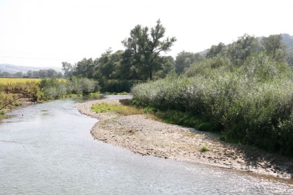 Lascov - Brezov, 19.9.2014
Meandry Topľy.



Schlüsselwörter: Lascov Brezov řeka Topľa