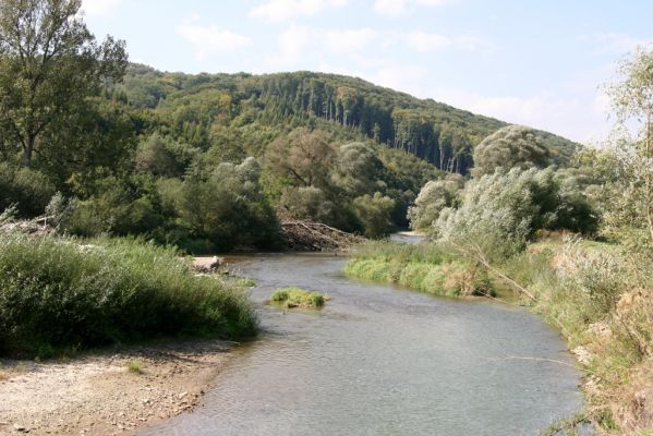 Lascov - Brezov, 19.9.2014
Meandry Topľy.



Klíčová slova: Lascov Brezov řeka Topľa