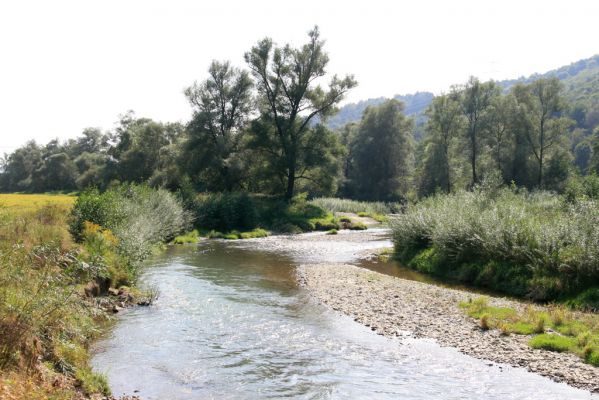 Lascov - Brezov, 19.9.2014
Meandry Topľy.



Klíčová slova: Lascov Brezov řeka Topľa