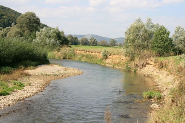 Lascov - Brezov, 19.9.2014
Meandry Topľy.



Klíčová slova: Lascov Brezov řeka Topľa