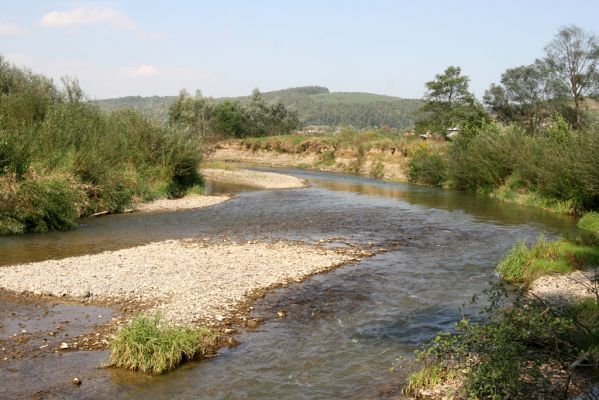 Lascov - Brezov, 19.9.2014
Meandry Topľy.




Mots-clés: Lascov Brezov řeka Topľa