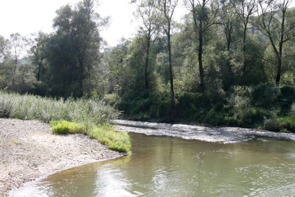 Lascov - Brezov, 19.9.2014
Meandry Topľy.



Klíčová slova: Lascov Brezov řeka Topľa